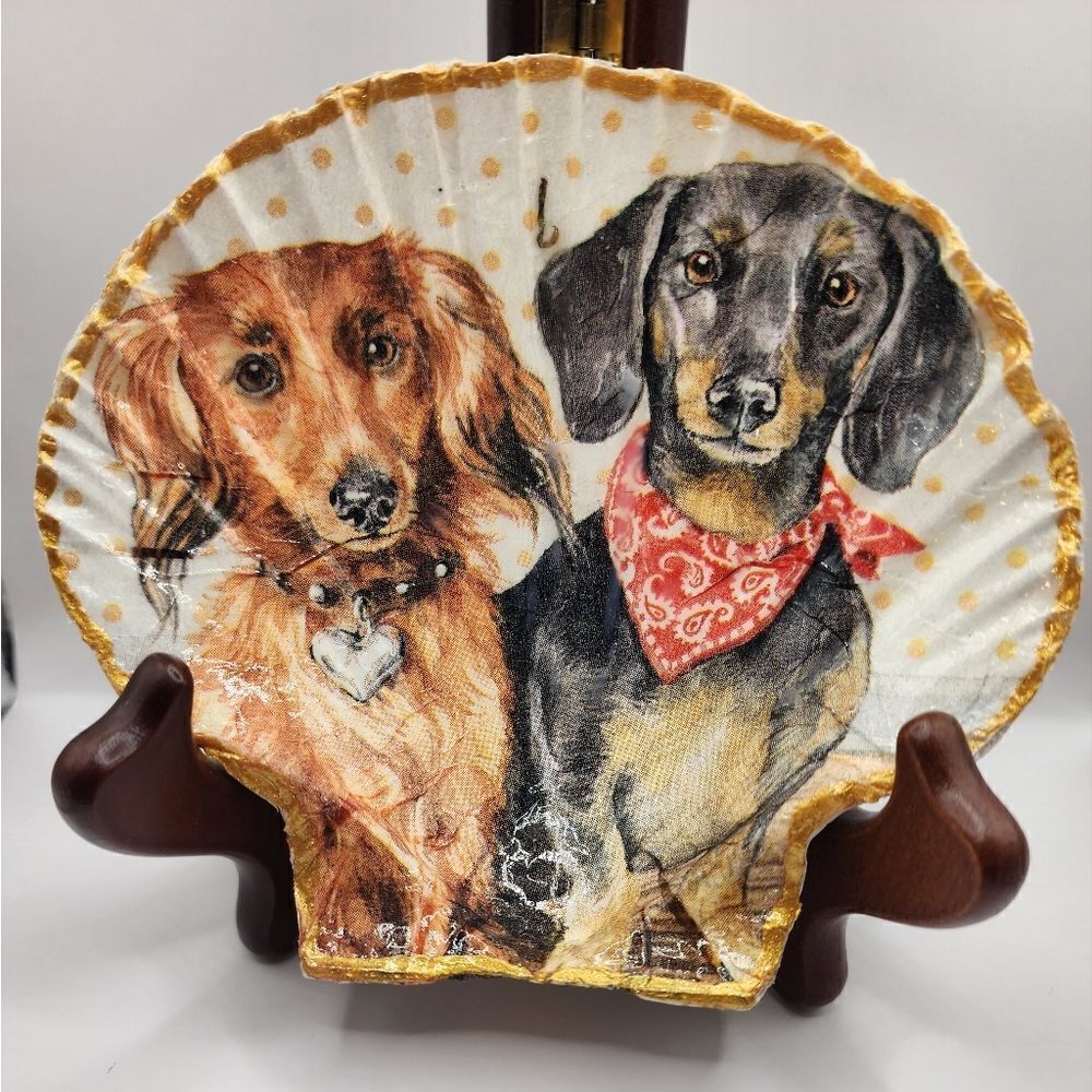 SCALLOPED FAN SHELL 